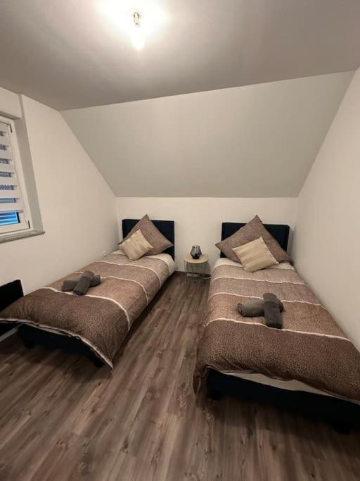 Appartement Algo Algolsheim المظهر الخارجي الصورة